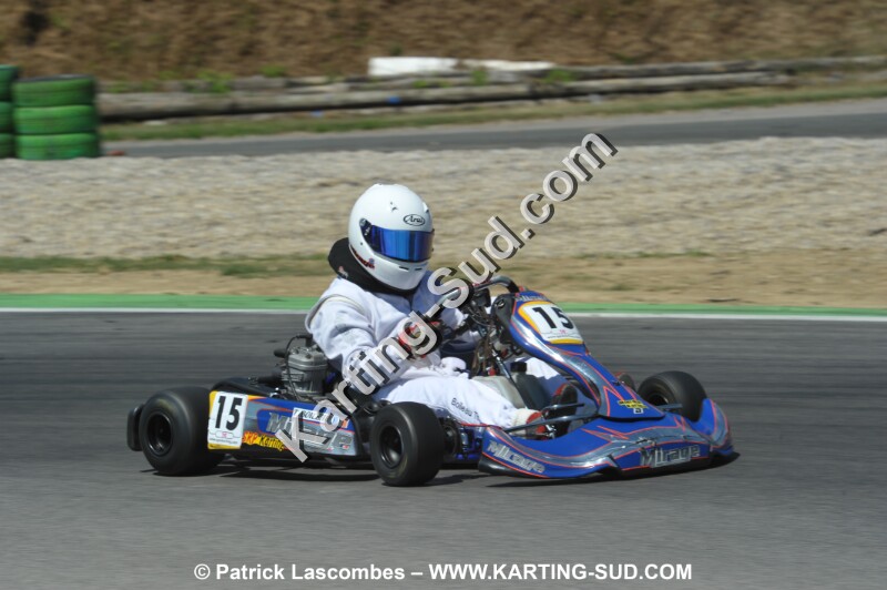 DSC_ (1854).JPG